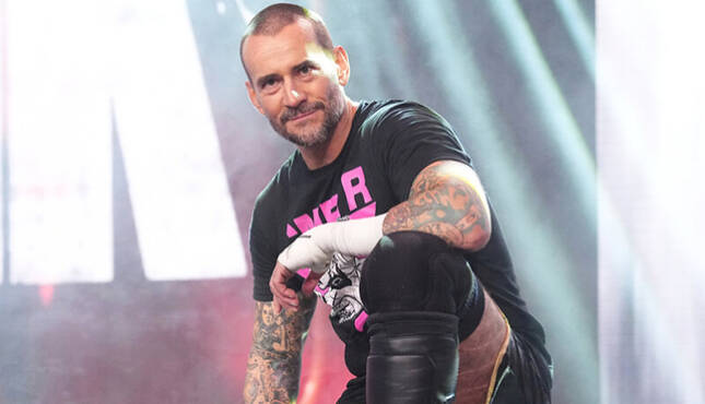 Top WWE Star Doesn't Think CM Punk Will Last 6 Months