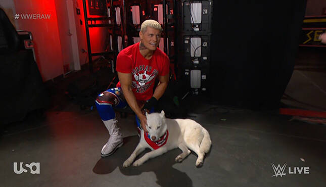 Cody Rhodes Pharaoh WWE Raw