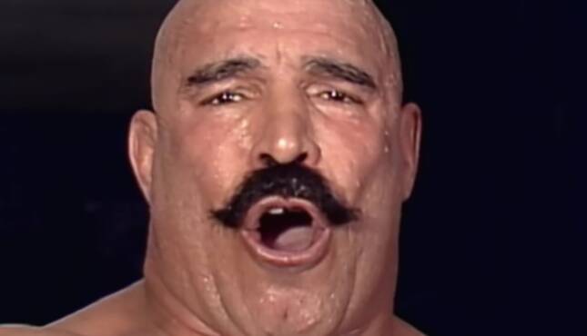 The Iron Sheik