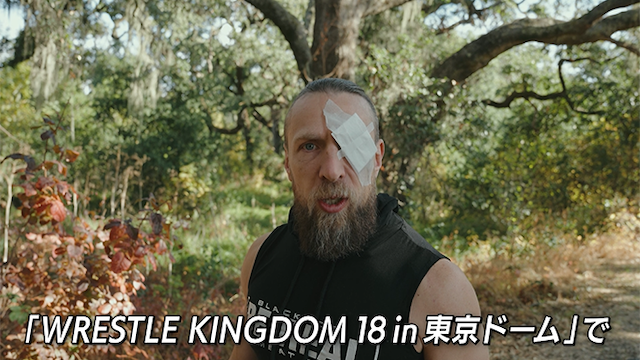 Four massive matches added to Wrestle Kingdom 18! 【WK18】