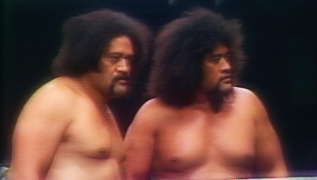 Wild samoans sales