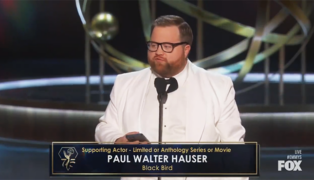 Paul Walter Hauser Emmys