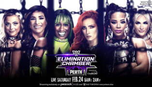 WWE Elimination Chamber WC