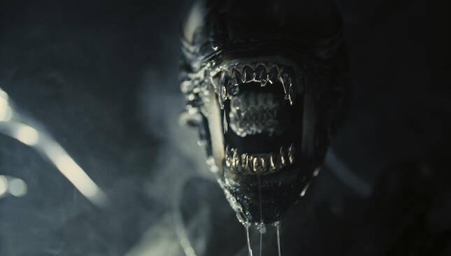 Alien Romulus Still - 1