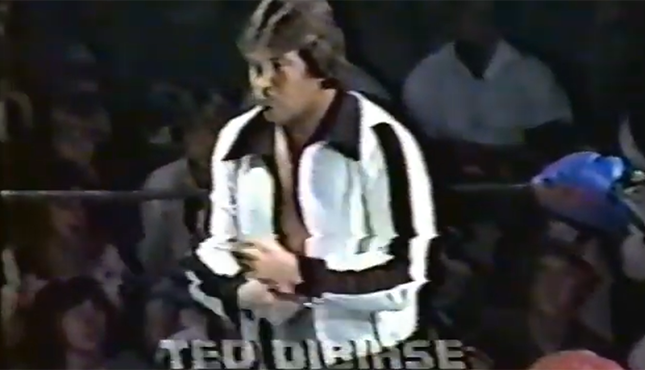 UWF Power Pro Wrestling Ted DiBiase