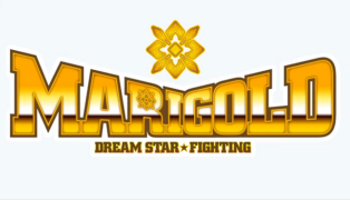 Marigold Dream Star Fighting