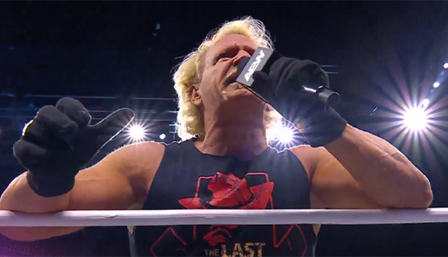 Jeff Jarrett AEW Dynamite 9-18-24