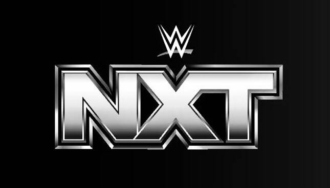 WWE NXT Silver Logo