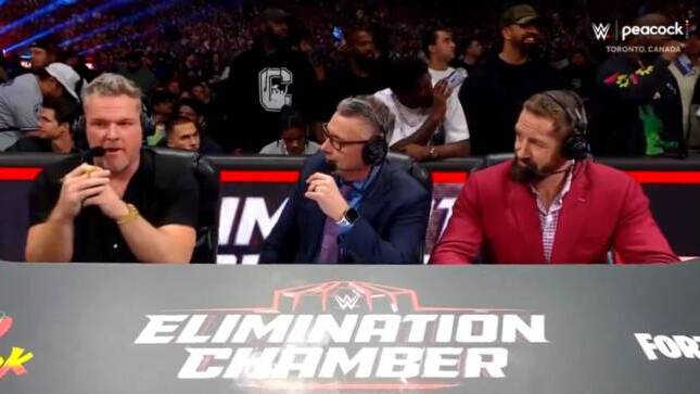 Drake WWE Elimination Chamber