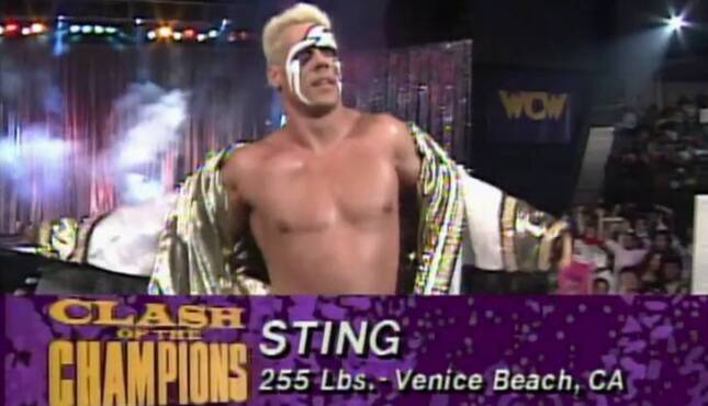 WCW Clash of The Champions XVIII Sting