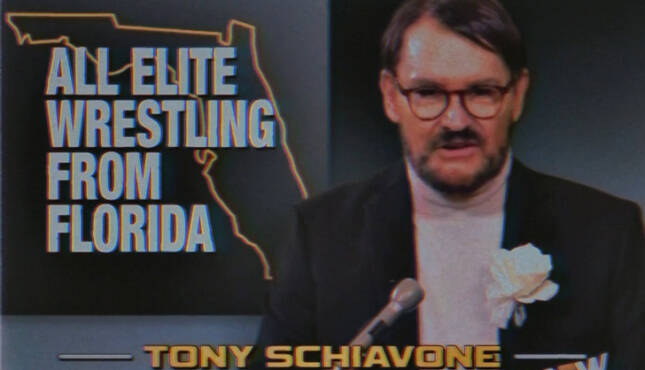 Tony Schiavone AEW