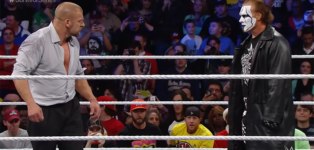 WWE Survivor Series 2014 Triple H Sting