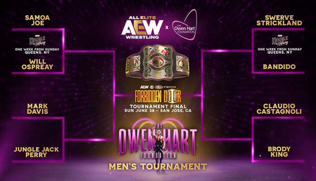 Owen Hart Tournament