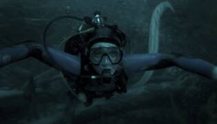 Whalefall - Austin Abrams swallowed sperm whale