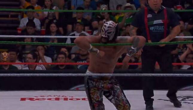 Lince Dorado.