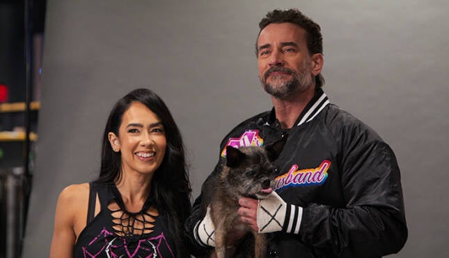 WWE Unreal AJ Lee CM Punk Larry