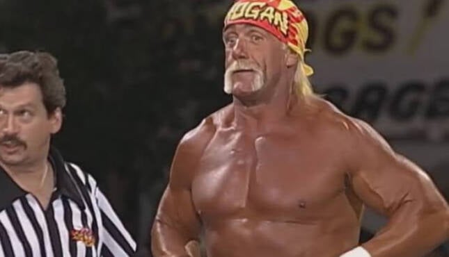 WCW Road Wild 1999 Hulk Hogan